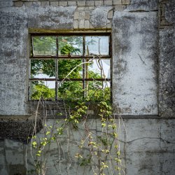 Renate Giercke